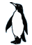 Pinguin