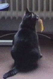 Jerry in front of window in office