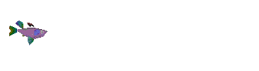 Schwimmender Fisch