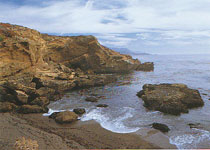 Bucht der Seeloewen