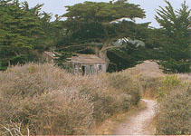 Walfaengerhuette