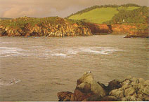 Walfangbucht