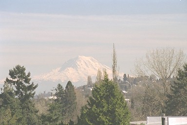 View of Mount Rainier
