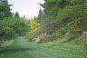 walk in botanical garden