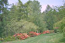 view in botanical garden
