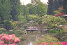 japanese tea garden