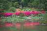japanese tea garden