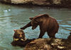brownbear