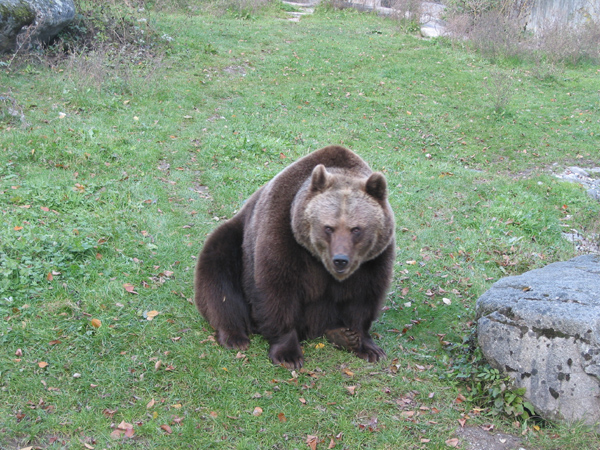 Tierpark 014