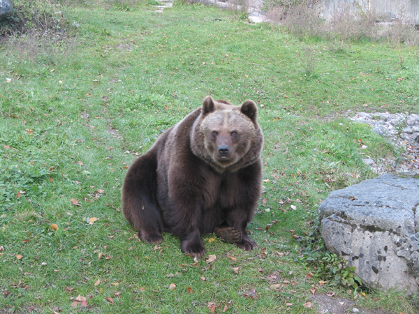 Tierpark 017