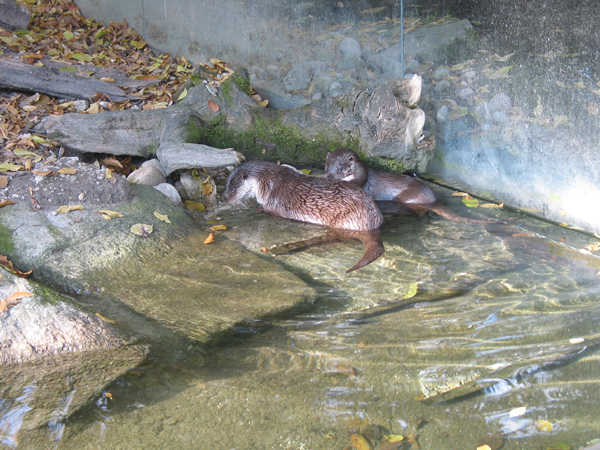 Tierpark 023