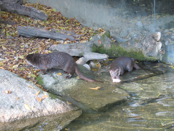 Tierpark 024