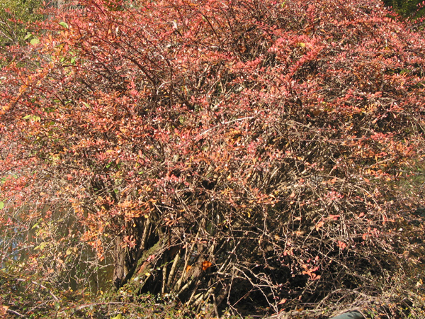 Tierpark 027