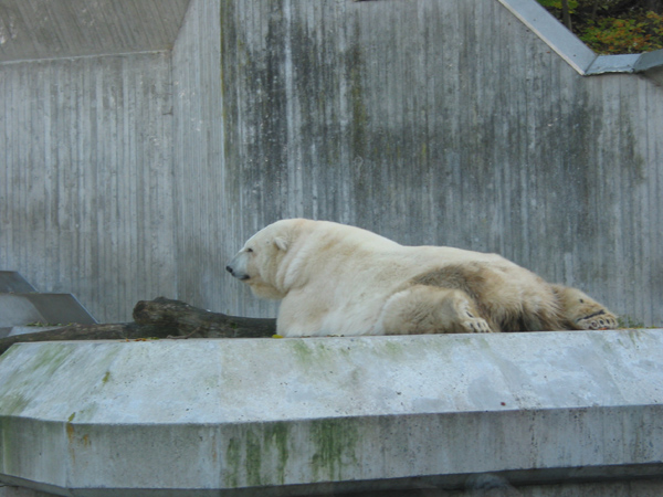 Tierpark 031