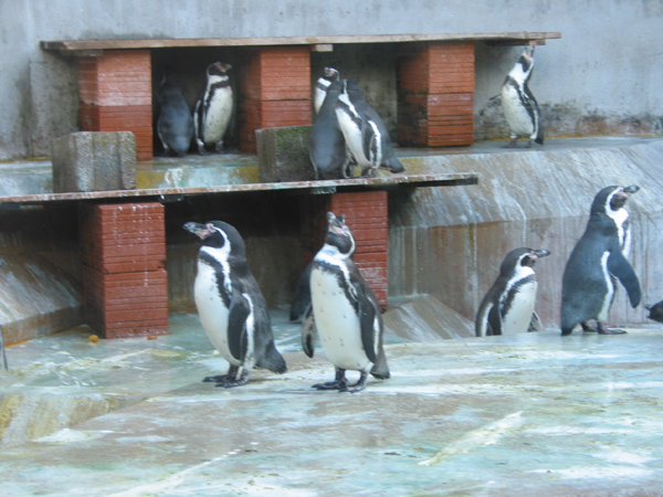Tierpark 034