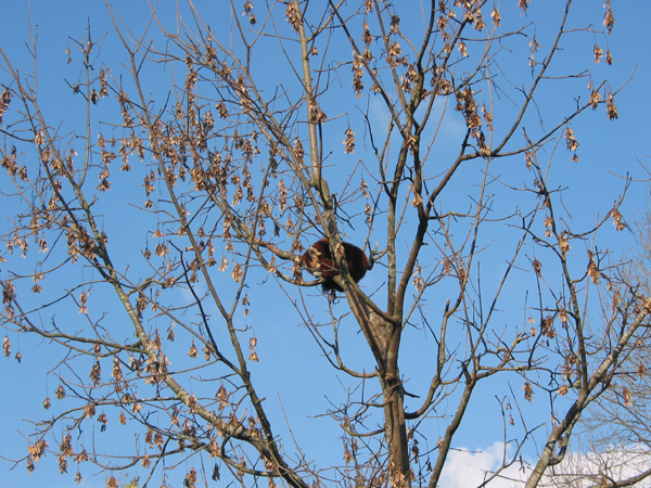 Tierpark 045