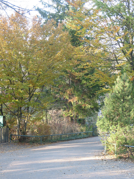 Tierpark 064