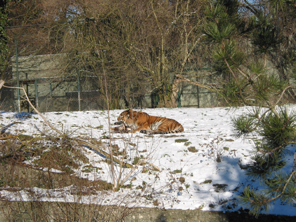 Hellabrunn 047
