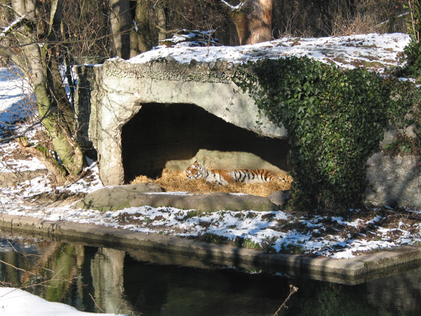 Hellabrunn 048