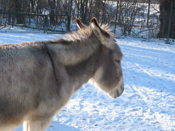 Hellabrunn 056