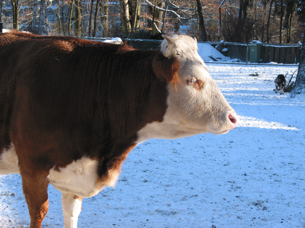 Hellabrunn 057
