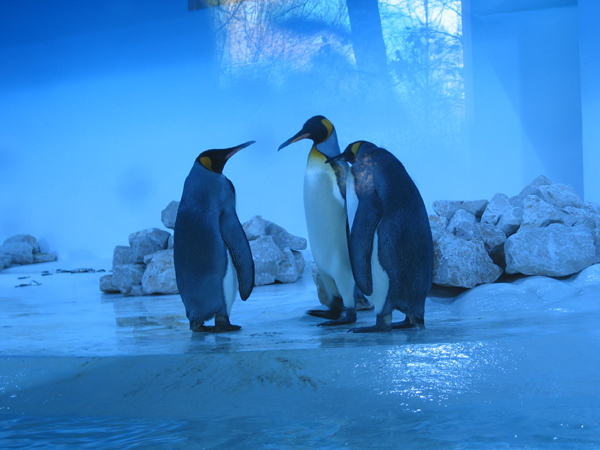 Hellabrunn 066
