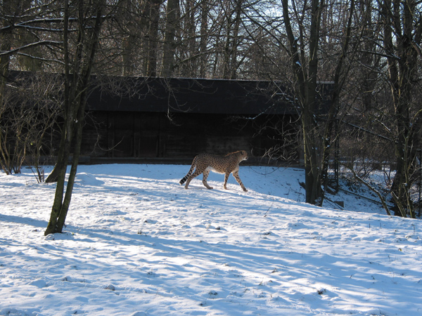 Hellabrunn 071